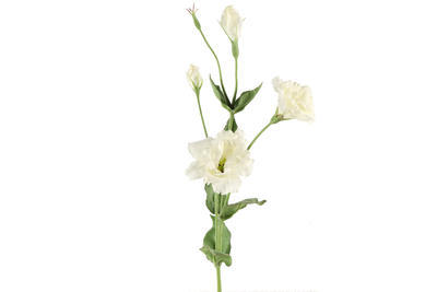 Eustoma - Lisianthus umelý kvet - 1