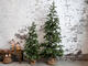 Vianočný stromček výška 150cm a 210cm - 1/2